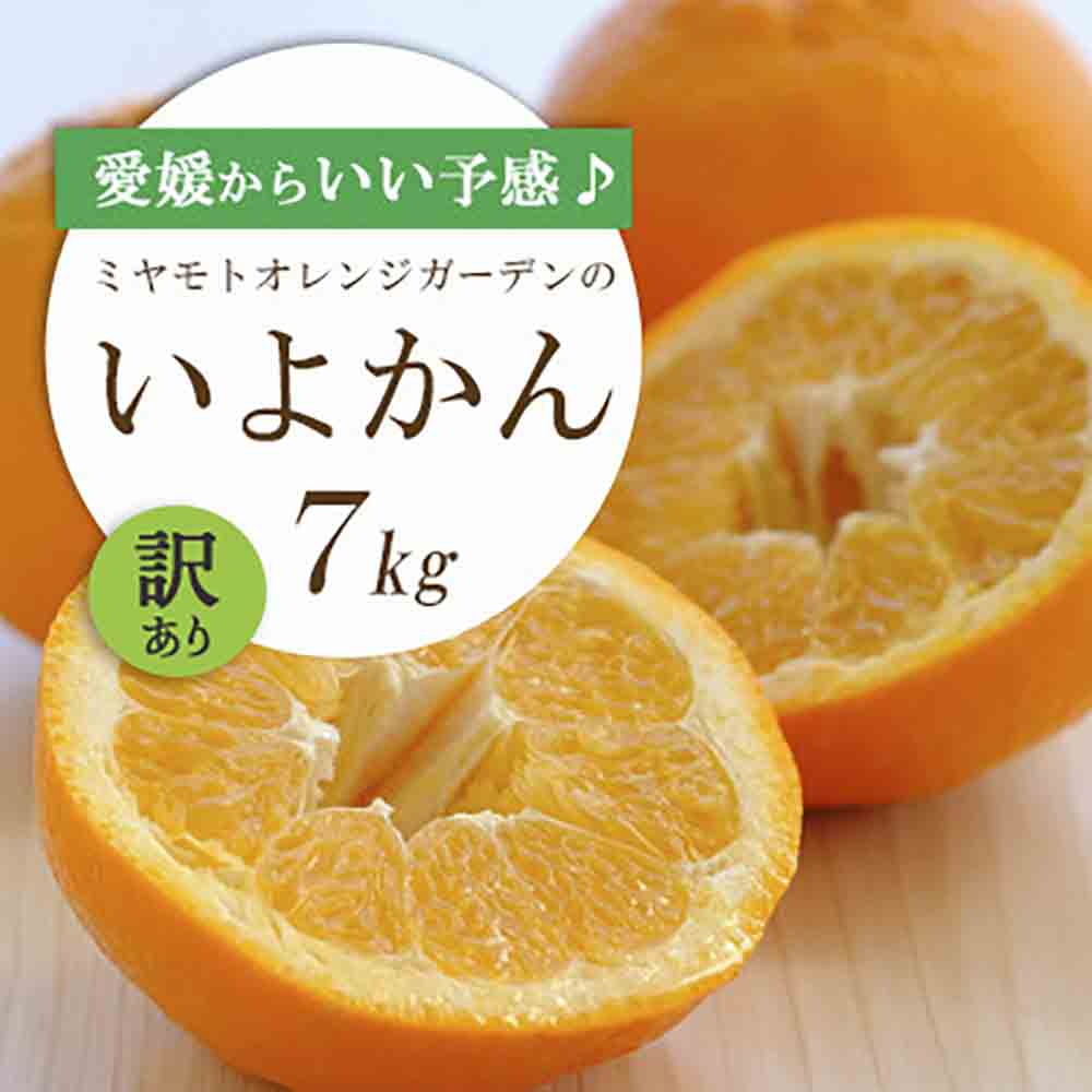 【先行受付】愛媛から「いい予感」♪ジューシー果肉 いよかん7kg【訳あり】【C25-186】【1608865】 YWTAP127