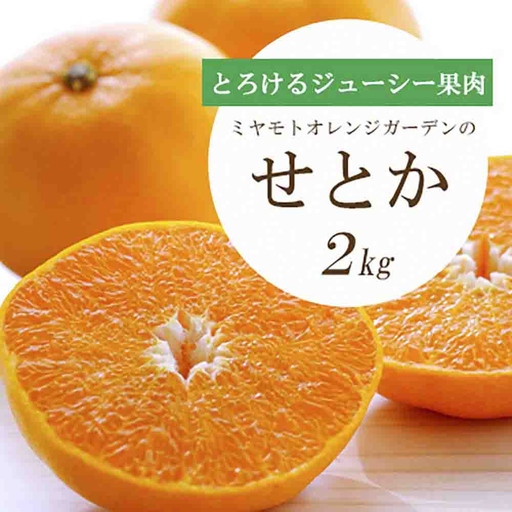 【先行受付】 とろける濃厚果肉 せとか2kg 愛媛県八幡浜産【E25-37】【1044414】 YWTAP028