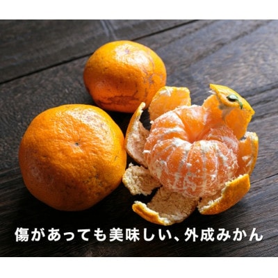 【創業85年 親子4代 愛媛みかん 一筋】愛媛八幡浜産 訳あり 極早生みかん 3kg【A20-45】【1594912】