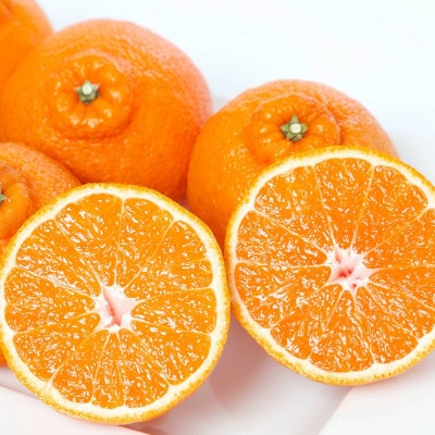 荳咲衍轣ォ 7kg 縺ソ縺九s 諢帛ェ帷恁 蜈ォ蟷。豬懷ク 隘ソ螳蜥悟慍蛹コ 豼蜴壹↑譟第ゥ倥織25-374縲代1718368縲