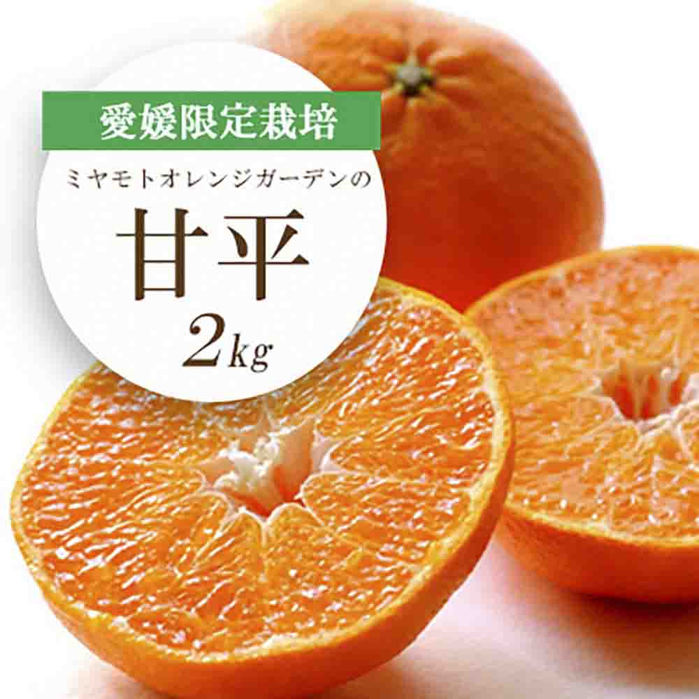 【先行受付】愛媛限定栽培柑橘 シャキッと新食感!甘平 2kg【E25-36】【1044411】 YWTAP027
