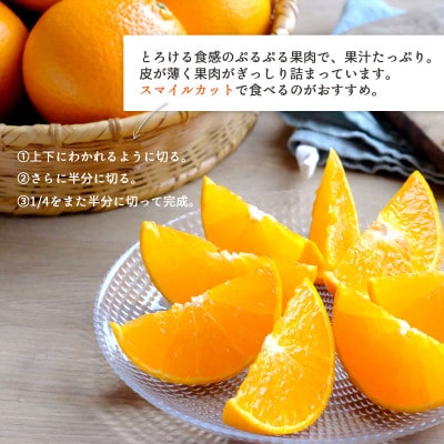 【訳あり】甘平×まどんな 4kg 「紅プリンセス」と同品種 愛媛果試48 みかん【D25-355】【1715582】