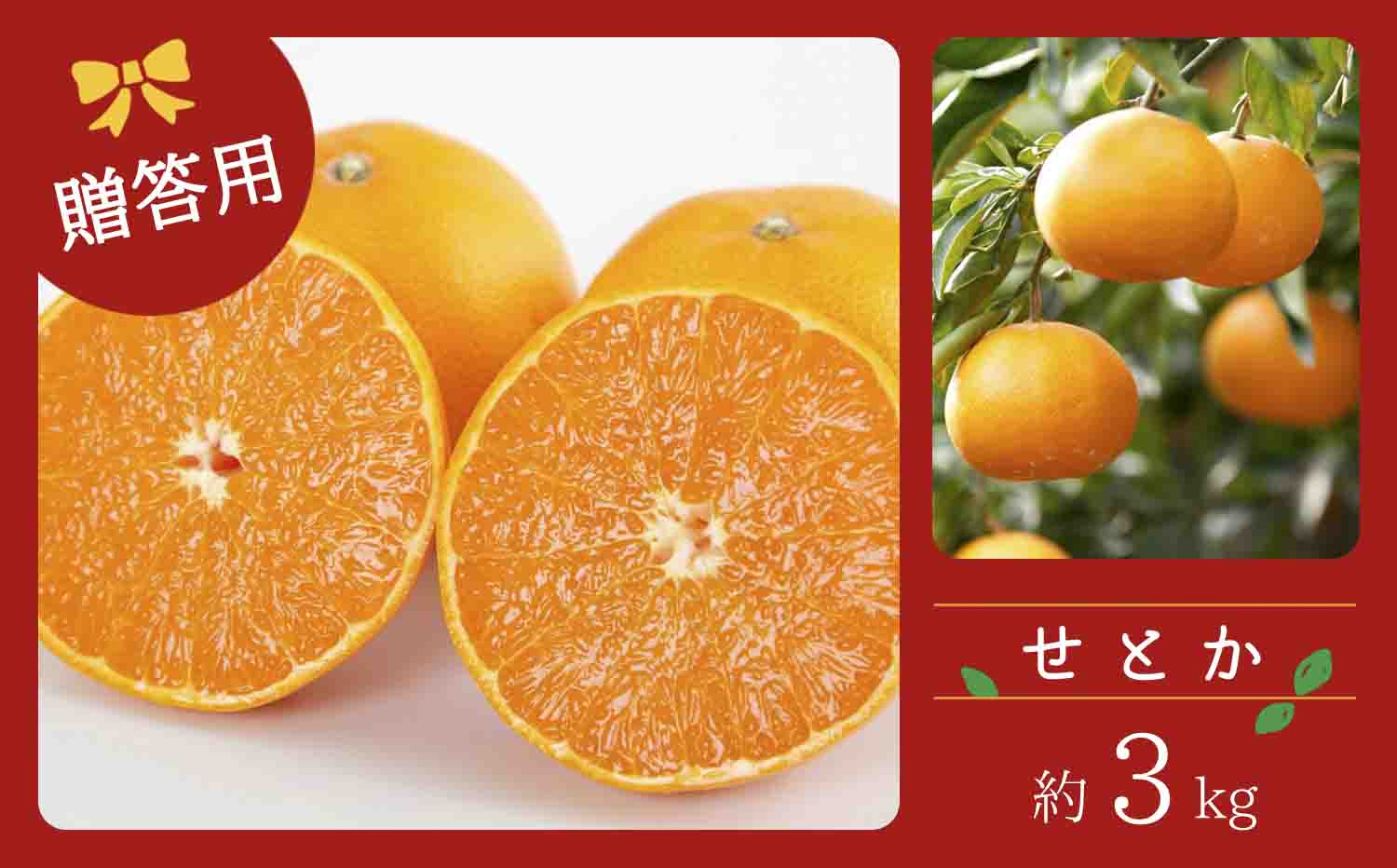【先行受付】コウ果樹園の「柑橘の大トロ　せとか約3kg」【C33-1】【1269378】 YWTG001