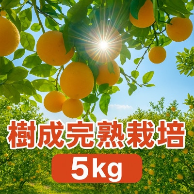 æ²³å
æ©æ5kgãèš³ããããA31-50ããé
éäžå¯å°åïŒé¢å³¶ãã1613967ã