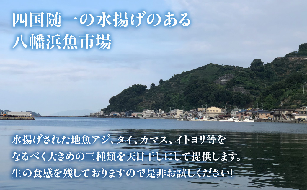 蜈ォ蟷。豬懃匱シ∫ォケ荳ュ豌エ逕」縺ョ蝨ー迚ゥ縺ョ蟷イ迚ゥシ匁椢繧サ繝繝茨シ亥、ァ繧オ繧、繧コシ峨22-295縲 YWTM109