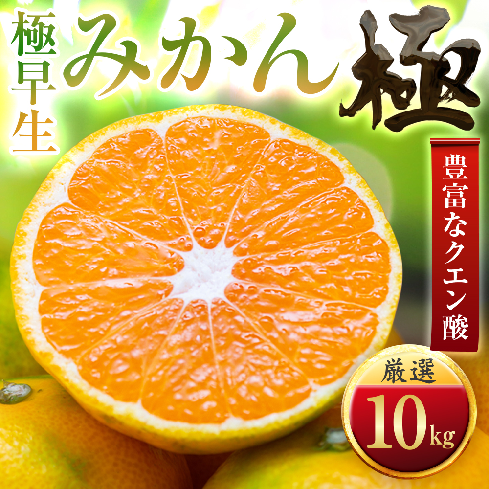 【太陽をたっぷり浴びた】極早生みかん【極】10kg【F49-35】【1508904】 YWTZ027