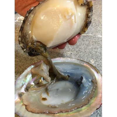 竹中水産の嗜好の大型アワビ(合計800g強)! 【H22-225】【配送不可地域：離島・北海道・沖縄県】【1052350】
