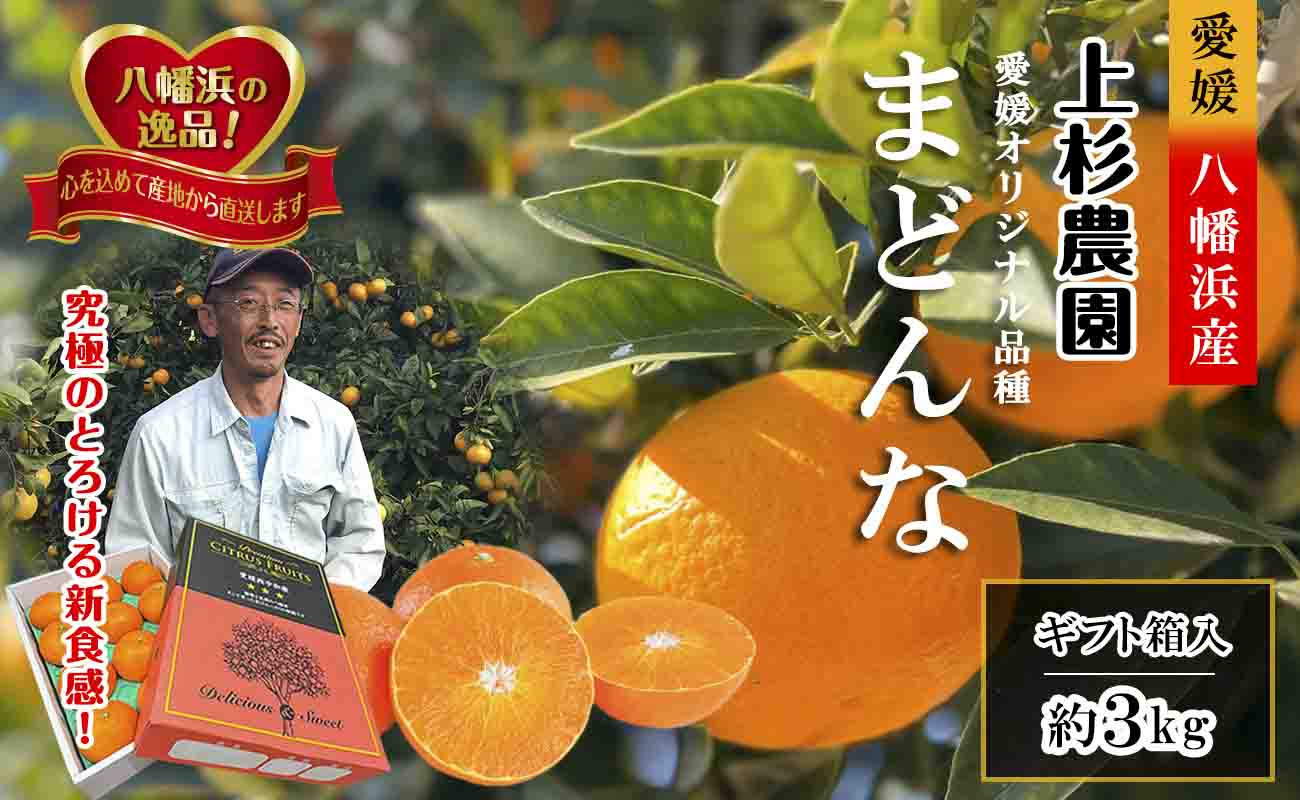 【先行受付】ギフト対応化粧箱入・上杉農園のぷるぷる新食感!「マドンナ」約3kg【D39-16】【1251804】 YWTF008