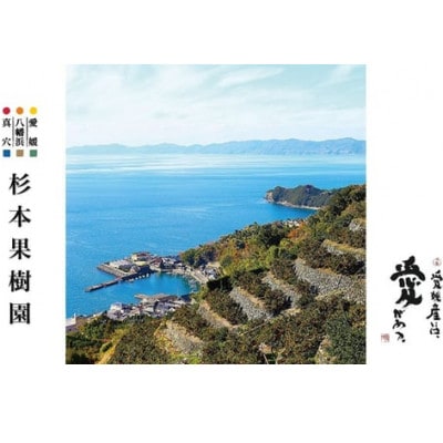 縲2025蟷エ11譛井サ・髯埼谺。逋コ騾√代育音驕ク縲臥悄遨エ縲∝ォ蟇ソ縺ソ縺九s(譌ゥ逕滓クゥ蟾)5kg縲織34-22縲代1510693縲