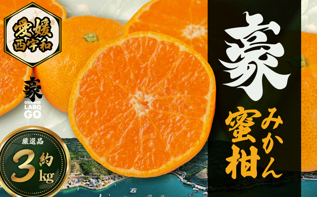 【先行受付】豪 蜜柑　3kg(S～Lサイズ)【C88-2】【1660449】  YWTE002