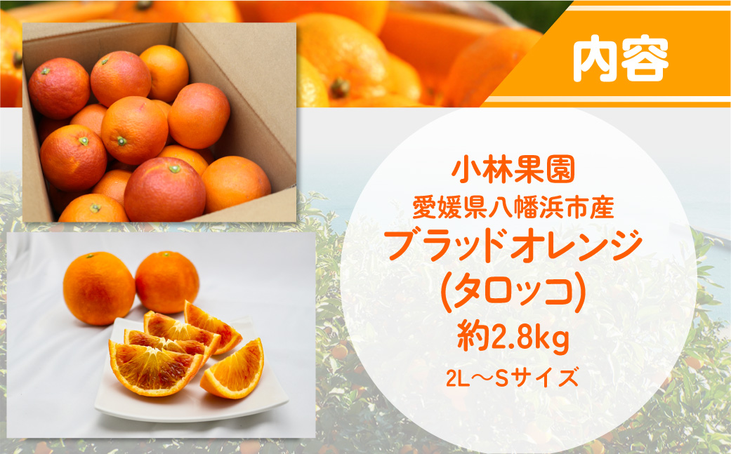 【先行受付】愛媛・小林果園のブラッドオレンジ 約2.8kg【C24-32】 YWTAD023