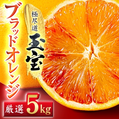【愛媛名産】玉宝ブラッドオレンジ(タロッコ)　5kg【E64-68】【1621810】