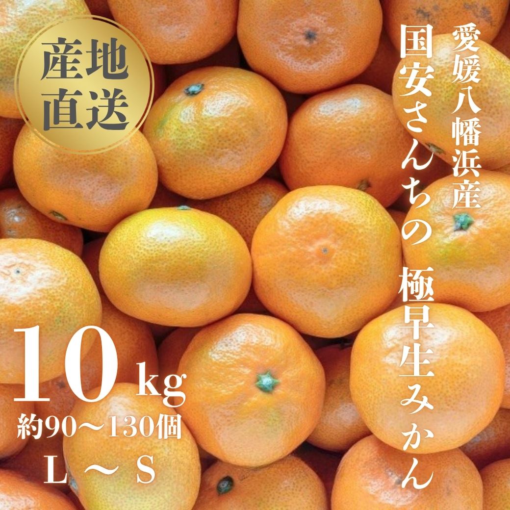 ã嵿¥85幎 芪å4代 æåªã¿ãã äžçãæåªå
«å¹¡æµç£ 極æ©çã¿ãã 10kgãF20-44ãã1594909ã YWTI039
