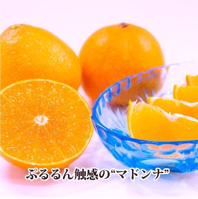 2025蟷エ11譛育匱騾髢句ァ九縺キ繧九キ繧区眠鬟滓─!縲後槭ラ繝ウ繝翫+豼蜴!縲悟ー冗脂縺ソ縺九s縲咲エ5kg縲織39-32縲代1252242縲