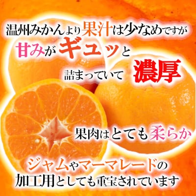 ãçæãœãããã5kg/2LãŸãã¯Lãµã€ãº/ãC79-22ãã1474166ã