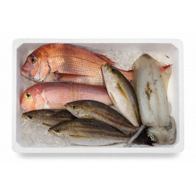 【目利き厳選】八幡浜直送天然鮮魚ボックス　有田鮮魚店・市場仕込み(3kg以上)【F93-1】【配送不可地域：離島・北海道・沖縄県】【1651391】