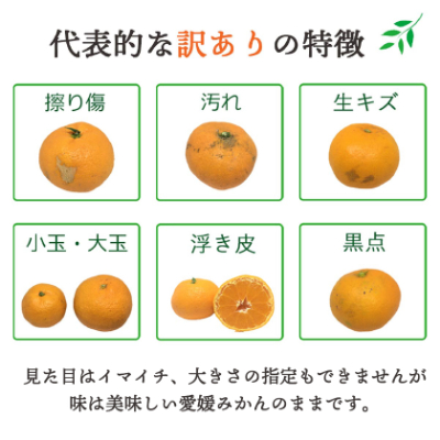 大玉サイズのみ厳選!八幡浜産 愛媛みかん8kg【訳あり】【C25-142】【1166254】
