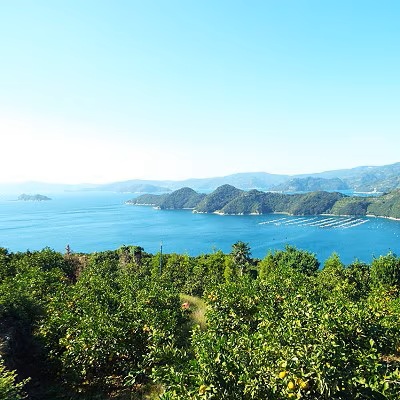 【2026年11月以降発送】濃厚な味わい「和」なごみ(みなの共選・家庭用)約5kg【C28-28】【1122343】 YWTN020