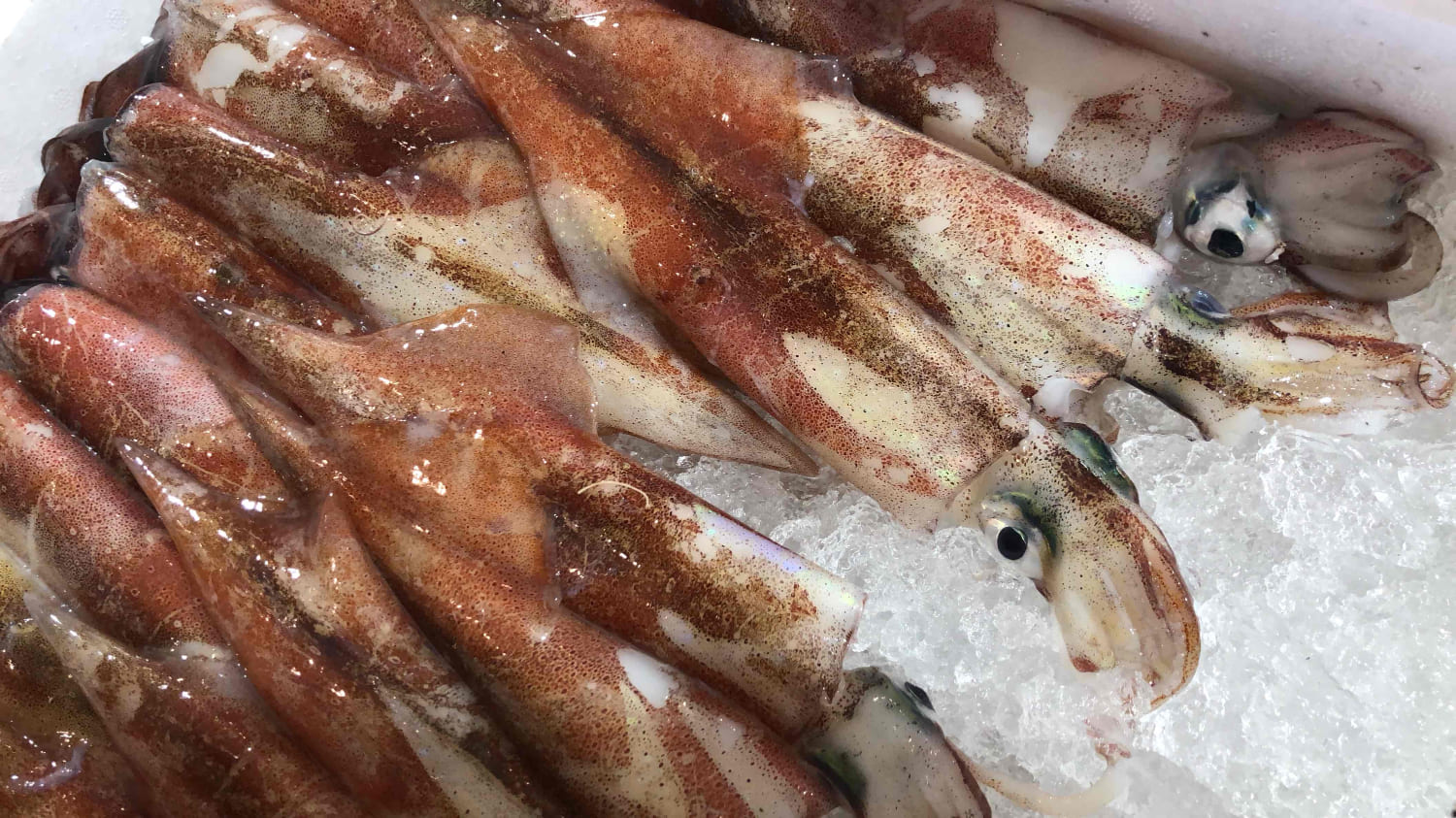 【冷凍便】八幡浜発!「白イカ(剣先イカ)」ドカーンと2kg!【F22-210】【配送不可地域：離島】【1043151】 YWTM028