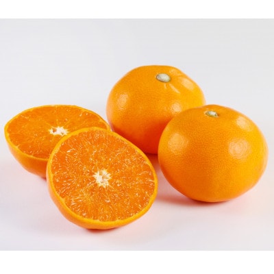 せとか1.5kg(秀品)【C21-43】【1647048】