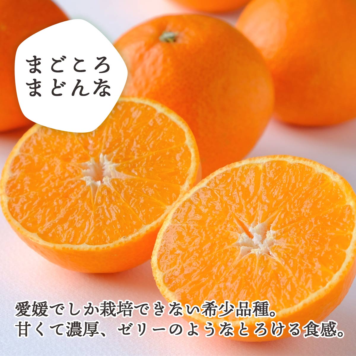 ãçŽ
ãŸã©ããªãšååçš®ãæåªæè©Š28å· ãŸããããŸã©ã㪠3.5kg èš³ãã|æåªçå
«å¹¡æµç£ã1166250ã YWTAP076