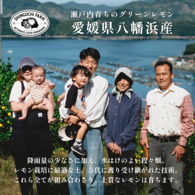 【皮が薄くて種が少ない】璃の香グリーンレモン 2kg 愛媛県産【A70-67】【1615798】