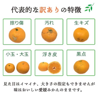 西宇和地区八幡浜産 愛媛みかん3kg【訳あり】【B25-164】【1509982】