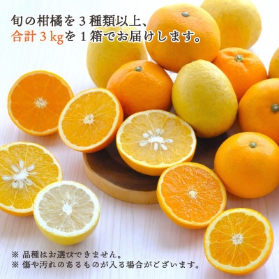 æåªçå
«å¹¡æµç£ æ¬ã®ãããã€è©°ãåãããã©ãšãã£ã»ãã èš3kgãèš³ããããD25-294ãã1704524ã