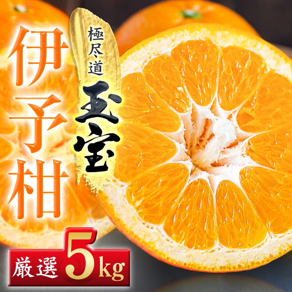 【愛媛名産】玉宝伊予柑　5kg【C64-59】【1511355】 YWTY048
