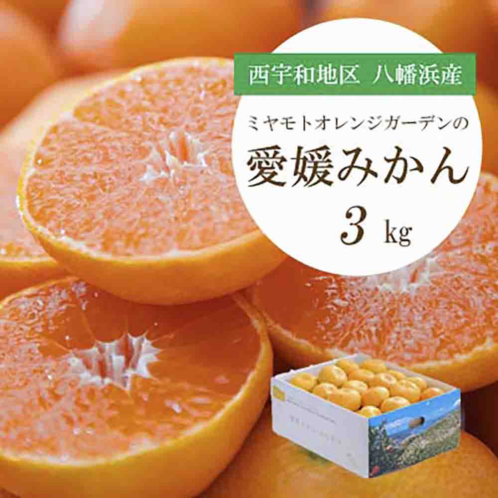 何個でも食べられる!西宇和地区八幡浜産 愛媛みかん3kg【C25-175】【1604463】 YWTAP116