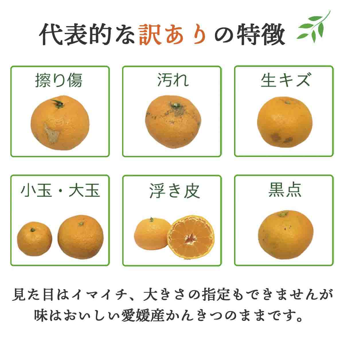 【先行受付】 【ご家庭用】せとか 2kg 愛媛八幡浜産【C25-306】【1712538】 YWTAP247