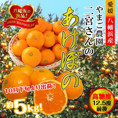 ããŸã蟲å é«ç³åºŠã¿ãã!ããããŒã®ããC39-11ããé
éäžå¯å°åïŒé¢å³¶ãã1491797ã