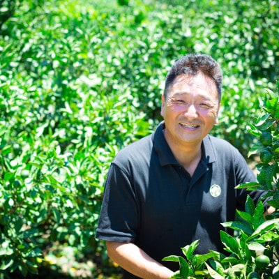 【凛とした酸味、極まる。】グリーンレモン　4kg【C64-89】【1636540】