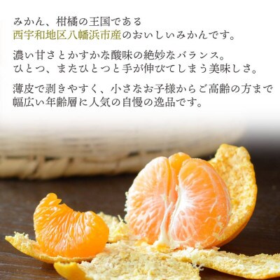 縲2025蟷エ11譛医h繧企谺。逋コ騾√題・ソ螳蜥悟慍蛹コ蜈ォ蟷。豬懷クら肇 諢帛ェ帙∩縺九s 7kg縲職25-123縲代1166253縲