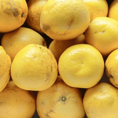 《果汁たっぷりジューシー》産地直送 愛媛八幡浜産 訳あり 河内晩柑20kg【G20-79】【1621480】