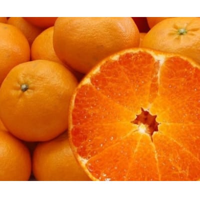 はちきれんばかりの果肉がぎっしり!愛媛県八幡浜産・甘平5kg【家庭用】【F35-17】【配送不可地域：離島・北海道・沖縄県】【1492237】