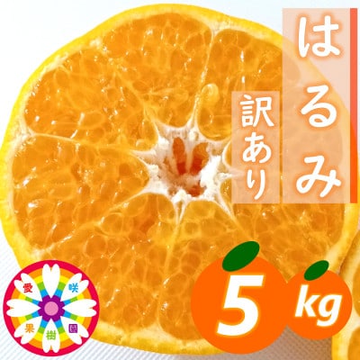 愛咲果樹園「はるみ」訳あり約5kg【C71-30】【1619095】