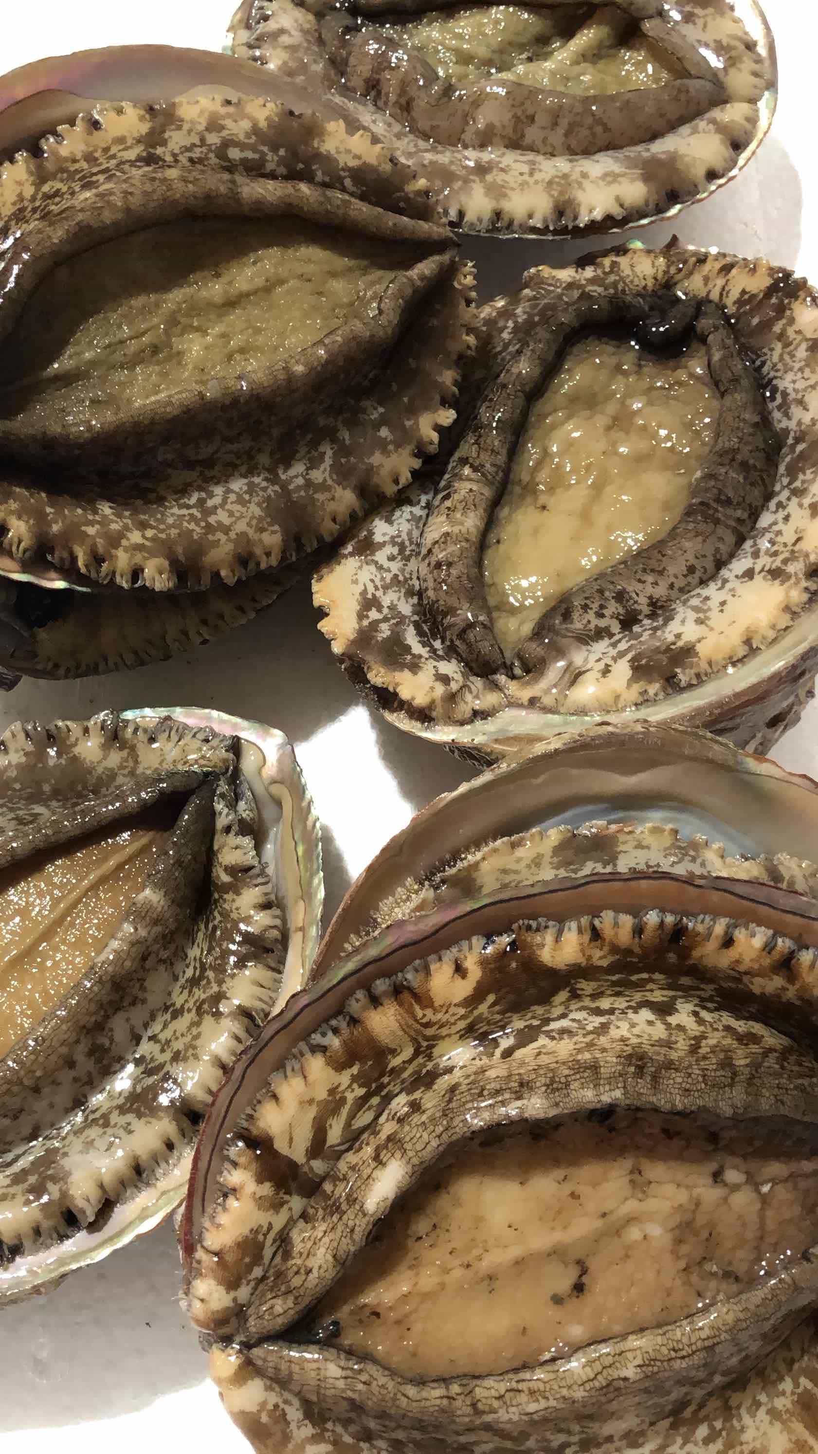 縲2繝オ譛域ッ主ョ壽悄萓ソ縲鷹囈譛亥、ァ蝙九い繝ッ繝800g繧貞ィ3蝗槭♀螻翫¢!縲食22-285縲大ィ3蝗槭宣埼∽ク榊庄蝨ー蝓滂シ夐屬蟲カ繝サ蛹玲オキ驕薙サ豐也ク逵後代4076446縲 YWTM103