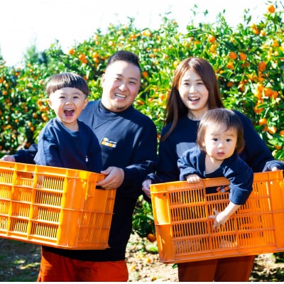 【太陽をたっぷり浴びた】清見タンゴール【極】2kg【A49-94】【1623955】