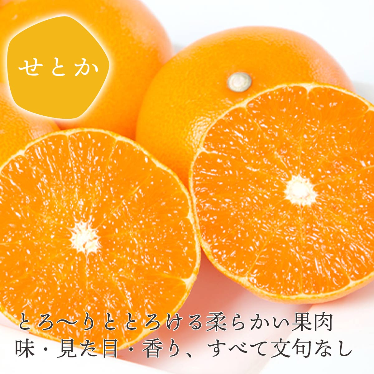 【先行受付】 とろける濃厚柑橘 せとか のし付き ギフトボックス入り【E25-168】【1536588】 YWTAP109