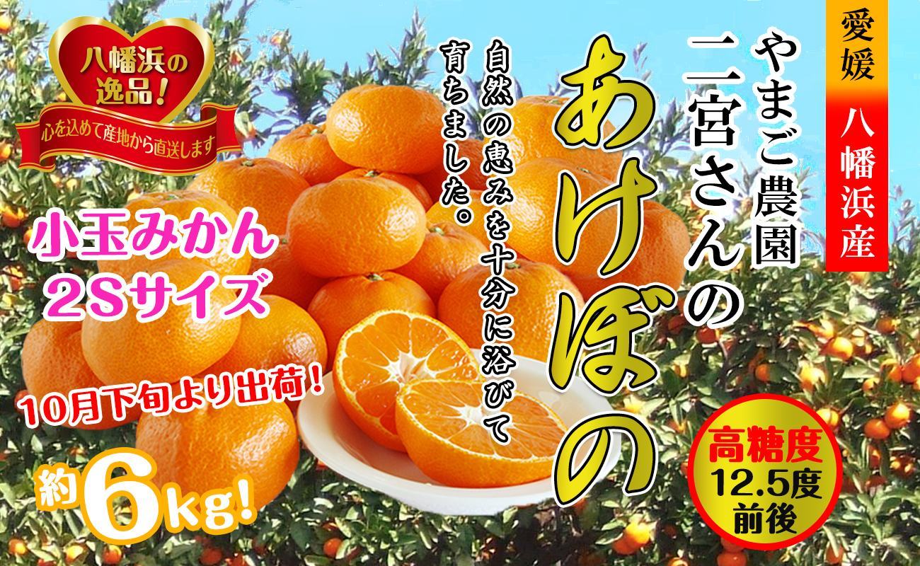 æ¿åãªå³ãã!ããŸã蟲åã®ããããŒã®å°çãçŽ6kgãC39-21ããé
éäžå¯å°åïŒé¢å³¶ã»åæµ·éã»æ²çžçãã1148837ã YWTF010