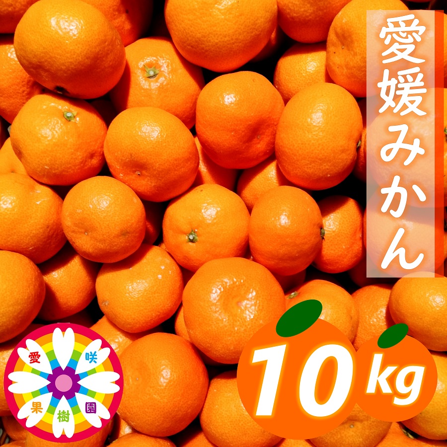 【先行受付】「 愛媛 みかん 」約10kg《 愛咲果樹園 》【71-70】YWTS043