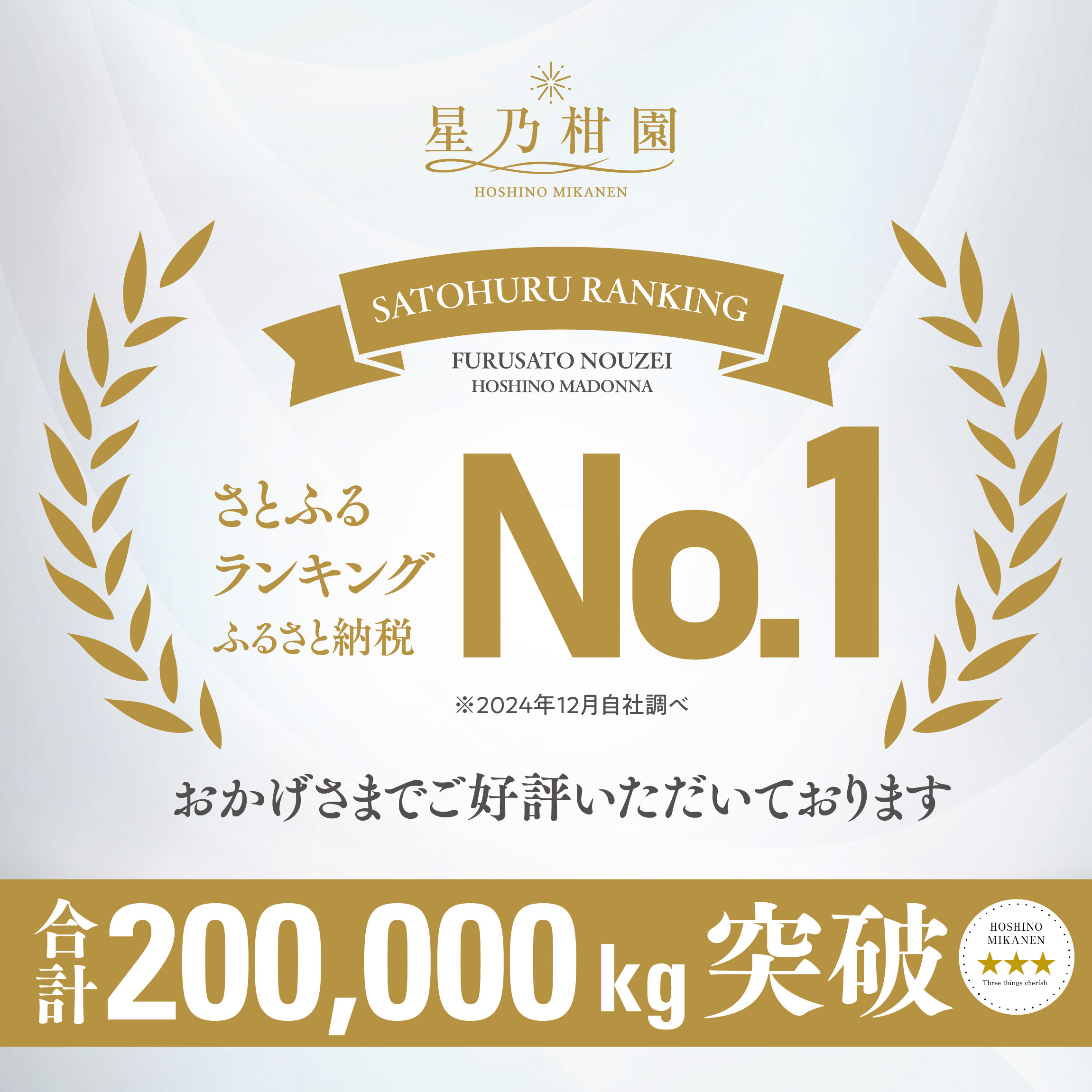 星乃みかん園の 星乃まどんな (3.5kg)【D45-63】【1339327】 YWTAZ026