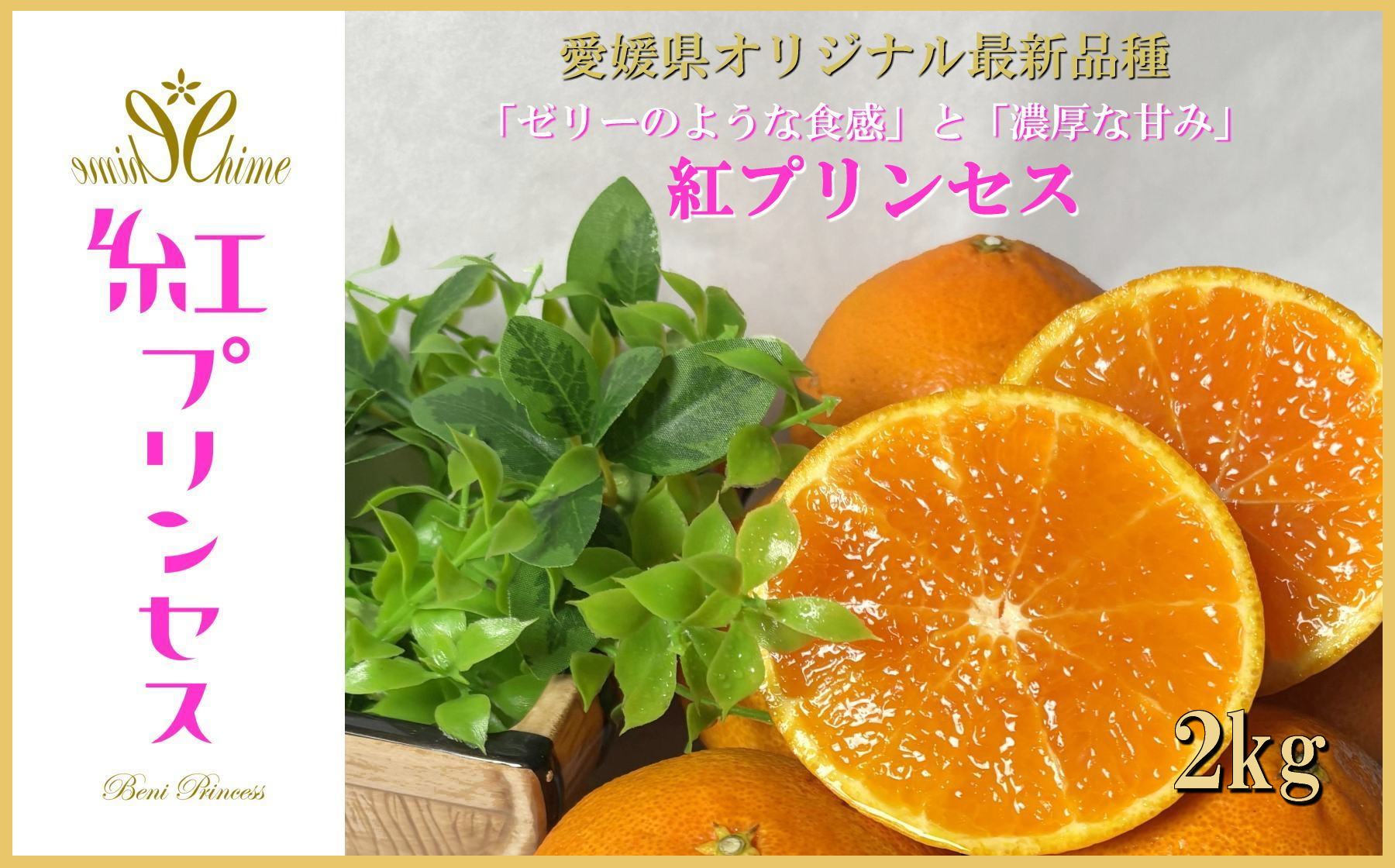 【先行受付】柑橘界のサラブレット!!「まどんな」と「甘平」を親に持つ!!　「紅プリンセス」2キロ【D39-76】【配送不可地域：離島】【1621674】 YWTF051