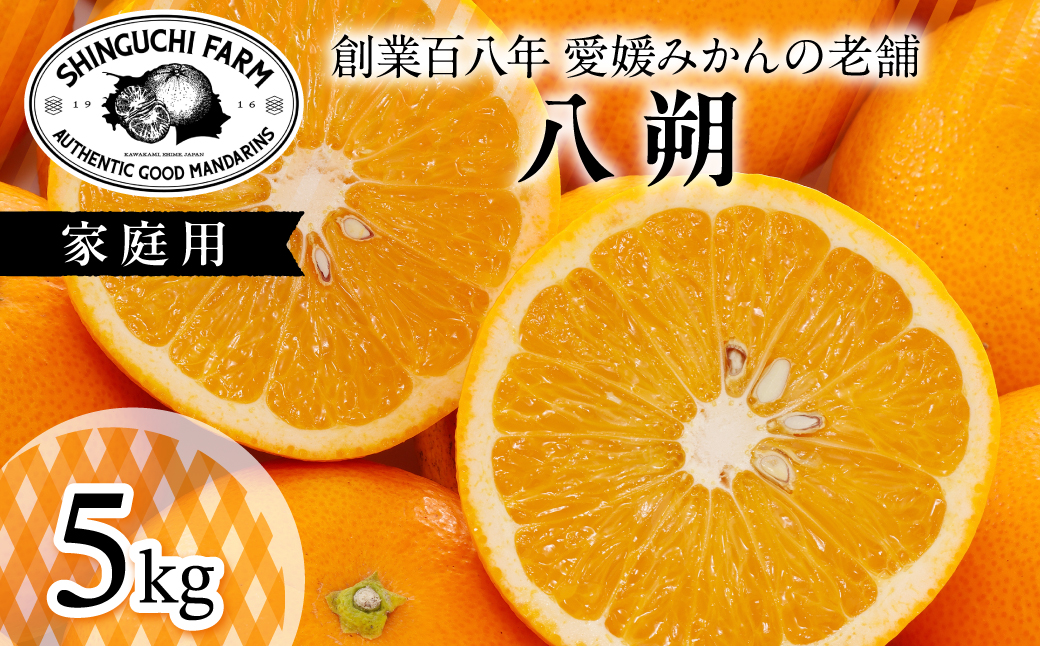 【大人の味わい】八朔 5kg『さっぱりとした甘みとほろ苦さ』【C70-28】【1470659】 YWTK028