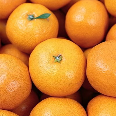 ãç³åºŠ11åºŠä»¥äž é
ž1.0ä»¥äž ç³é
žéžå¥åãæåªã¿ãã 10kgãD20-3ãã1094602ã