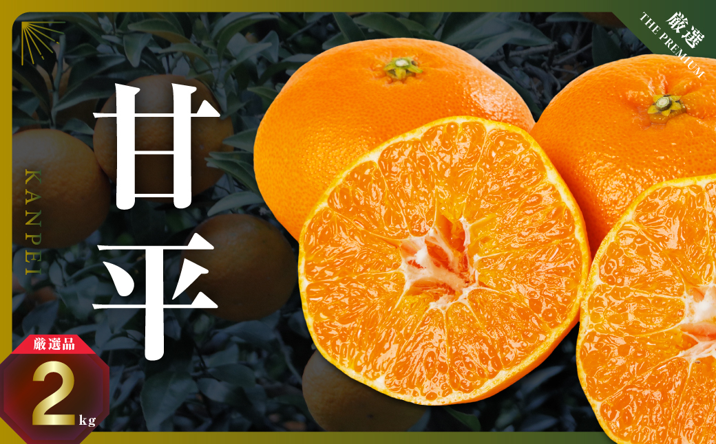 【愛媛限定】驚きの甘さ!幻の柑橘《甘平》2kg(M〜3L玉混合)【D31-55】【1660047】 YWTAC044