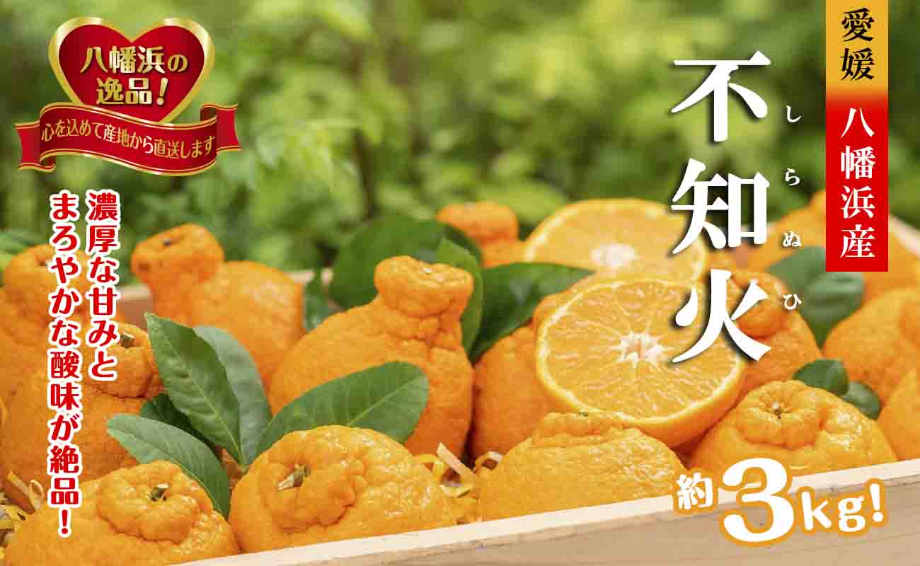縲仙郁。悟女莉倥醍曝縺輔→驟ク蜻ウ縺ョ邨カ螯吶↑繝舌Λ繝ウ繧ケ!縺ッ縺倥¢繧区棡閧峨御ク咲衍轣ォ縲咲エ3繧ュ繝ュ縲燭39-74縲代宣埼∽ク榊庄蝨ー蝓滂シ夐屬蟲カ縲代1620480縲 YWTF049