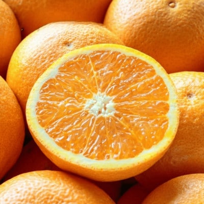 ããŸãã§é£ã¹ããžã¥ãŒã¹!è¶å¬å®çåãæåªç£ èš³ãã æž
èŠãªã¬ã³ãž 10kgãF20-34ãã1594861ã