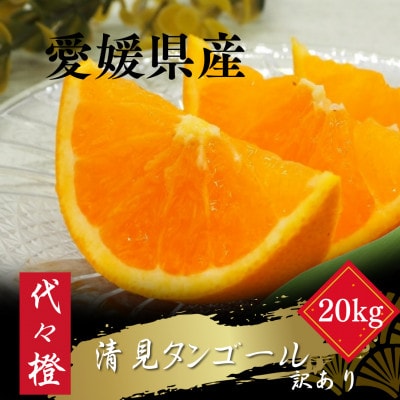 【トロッととろける果実】【訳あり】清見タンゴール 20kg【H83-27】【1557491】